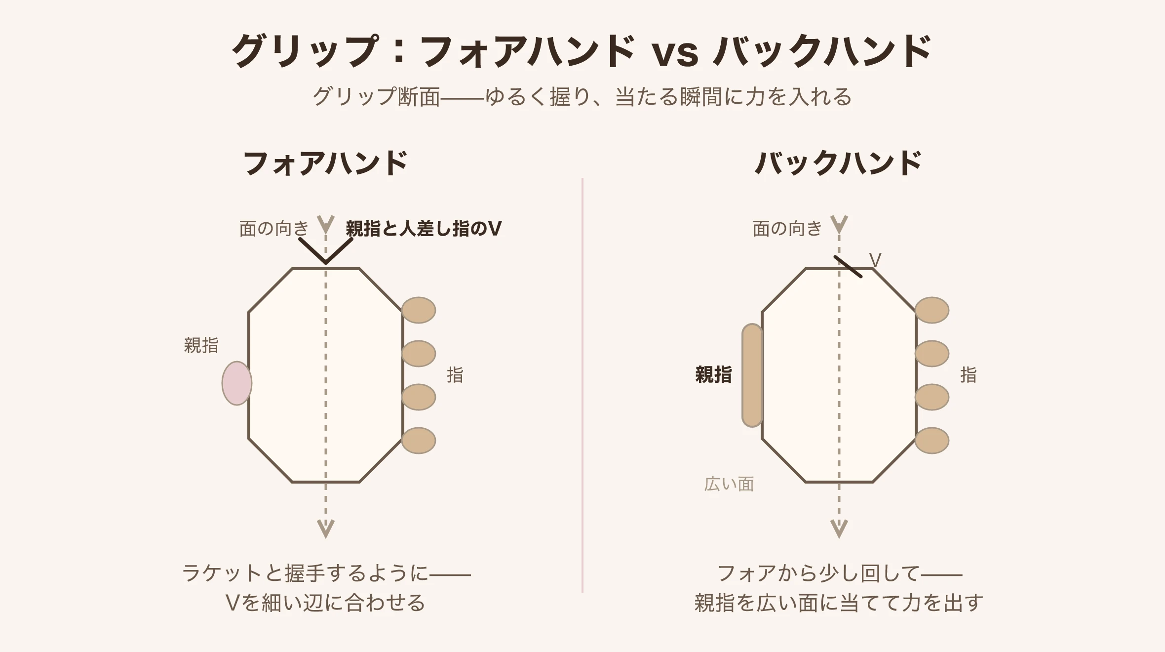 バドミントンのフォアハンドとバックハンドのグリップ断面図。親指と人差し指のVと親指の位置を示す|台北 Made Studio