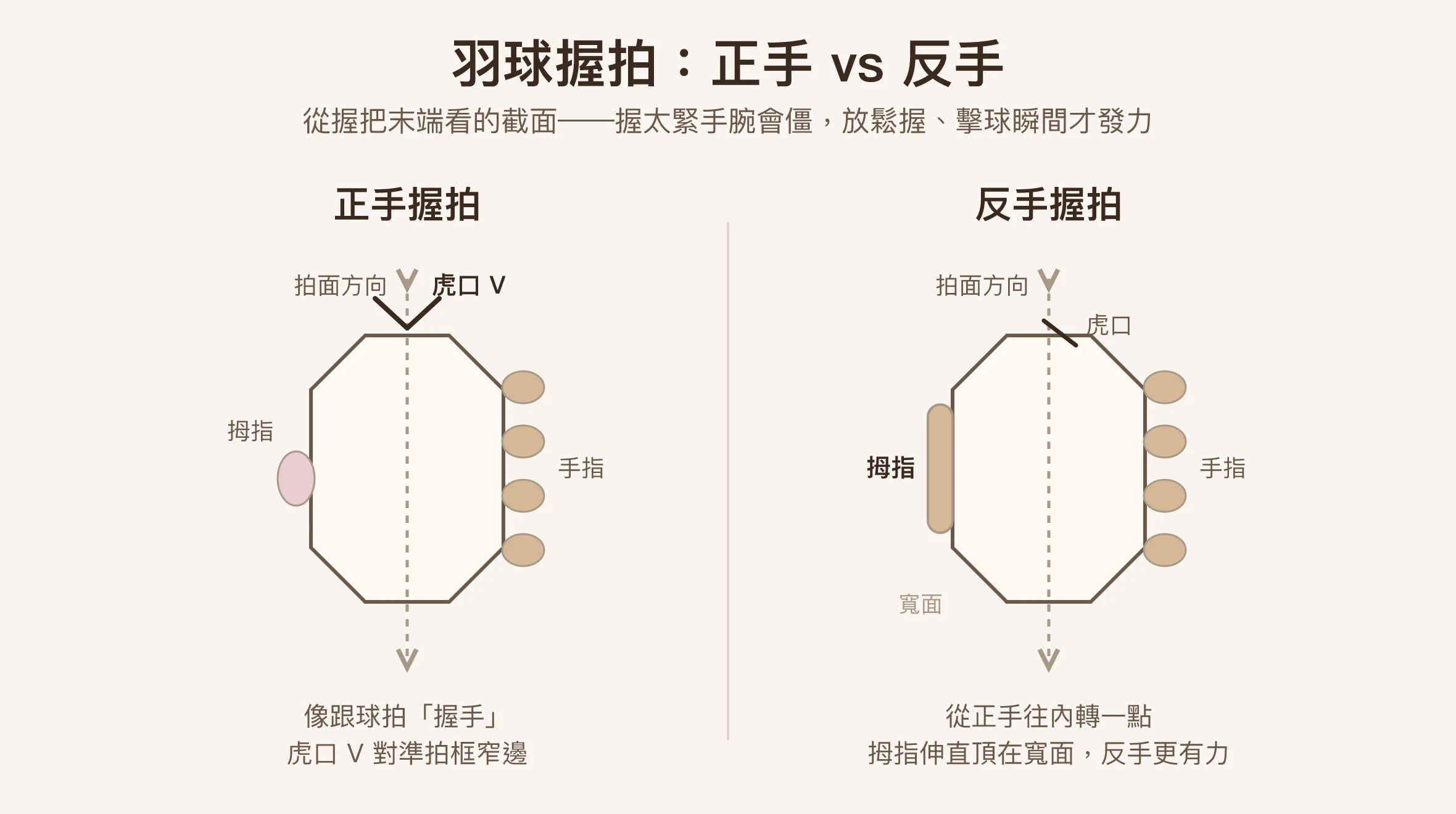 羽球正手與反手握拍截面示意圖，標示虎口 V 與拇指位置｜台北 Made Studio